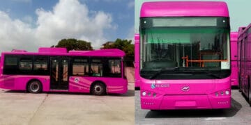 Sindh, Transport Department’s decision to start Pink People’s bus service exclusively for women