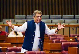 The government has fallen too far, Ali Zaidi