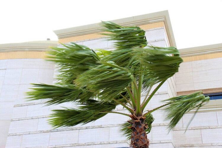 On Eid, Karachi will continue to be hit by strong winds