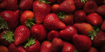 The effects of eating strawberries on the heart and brain