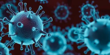 What are the symptoms of Nipah virus How to prevent in the absence of vaccine