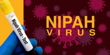 Deadly virus expected to hit Sindh; Alert issued