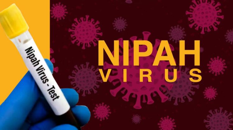 Deadly virus expected to hit Sindh; Alert issued — PakAlerts.net: Sansani Nahi, Srif Khabar — Your go-to digital hub for Breaking News, Analysis, Stories from Pakistan and around the World. Stay informed, Stay connected. Deadly virus expected to hit Sindh; Alert issued
