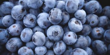 Advise diabetics to eat blueberries