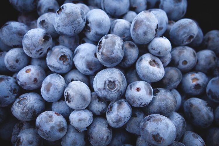 Advise diabetics to eat blueberries — PakAlerts.net: Sansani Nahi, Srif Khabar — Your go-to digital hub for Breaking News, Analysis, Stories from Pakistan and around the World. Stay informed, Stay connected. Advise diabetics to eat blueberries