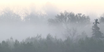 The weather will remain cold and dry in most of the plains of the country, Meteorology Department