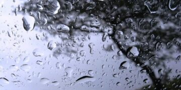 The meteorological department has predicted rain from tomorrow