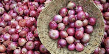 The price of onion sold at the highest level up to 320 rupees per kg