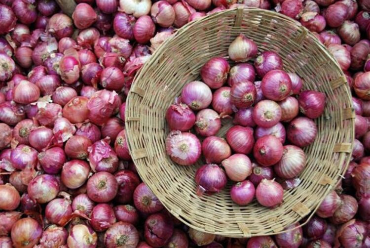 The price of onion sold at the highest level up to 320 rupees per kg — PakAlerts.net: Sansani Nahi, Srif Khabar — Your go-to digital hub for Breaking News, Analysis, Stories from Pakistan and around the World. Stay informed, Stay connected. The price of onion sold at the highest level up to 320 rupees per kg