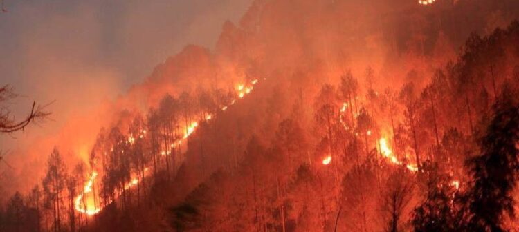Fire broke out in Jandran forests in Kohlu — PakAlerts.net: Sansani Nahi, Srif Khabar — Your go-to digital hub for Breaking News, Analysis, Stories from Pakistan and around the World. Stay informed, Stay connected. Fire broke out in Jandran forests in Kohlu