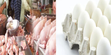 Poultry meat and eggs became more expensive