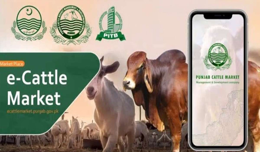 Pakistan’s first ‘E-Cattle Market’ App launched ahead of Eid-ul-Adha by Punjab government