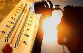 Heat wave persists, heat will increase further,The meteorological department warned