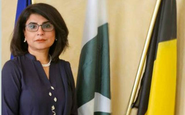 PM Shehbaz Sharif approves Amna Baloch as new foreign secretary