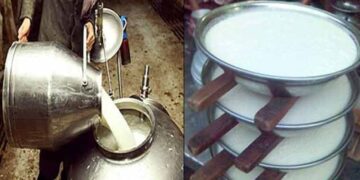 پشاور میں دودھ کی قیمت میں 60 روپے فی لیٹر اضافہ