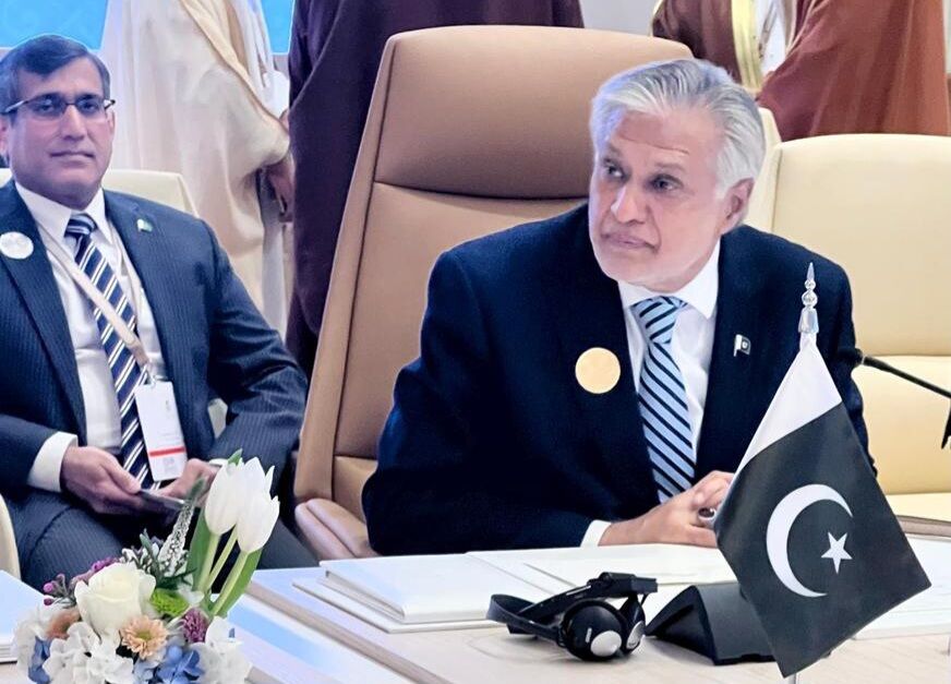   اسرائیل کو غزہ میں اس کے جنگی جرائم پر جوابدہ ٹھہرایا جائے: سحاق ڈار کا دنیا سے مطالبہ