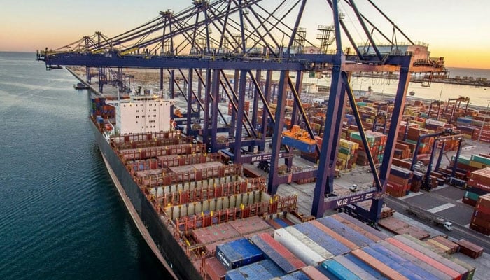 FBR Seizes Large Quantity of Donkey Hides at Karachi Port