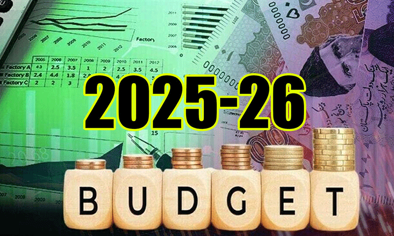 Federal Budget 2024–25: Increase Likely in Car and Bakery Prices, Social Media Income May Face Tax