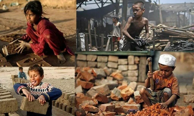 Child Labour a Global Challenge That Requires Coordinated International Response: President Zardari