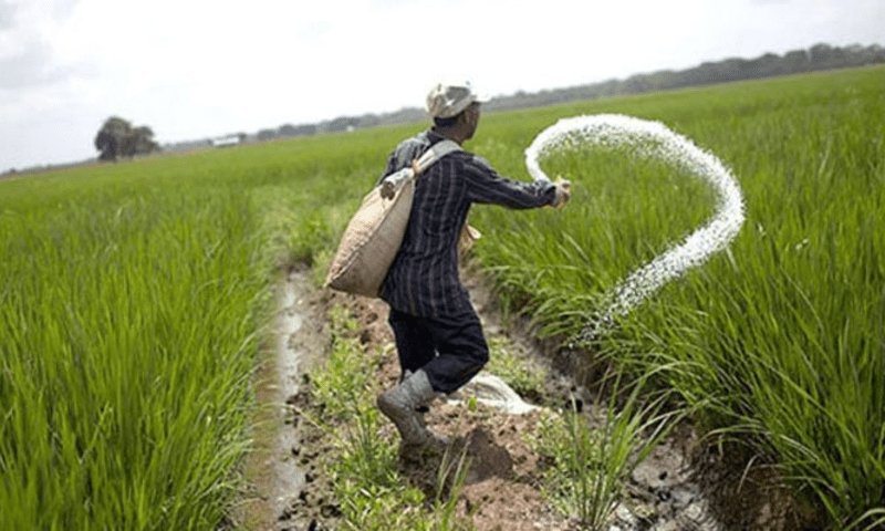 Sharp Rise in Fertilizer Prices Across the Country Increases Burden on Farmers
