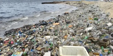 Rising Cancer Cases Among Youth Linked to Pollution, Plastics, and Poor Diet