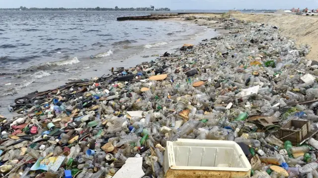 Rising Cancer Cases Among Youth Linked to Pollution, Plastics, and Poor Diet