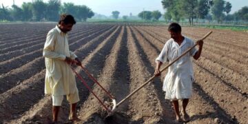 Chamber of agriculture rejects 45 per cent farm tax