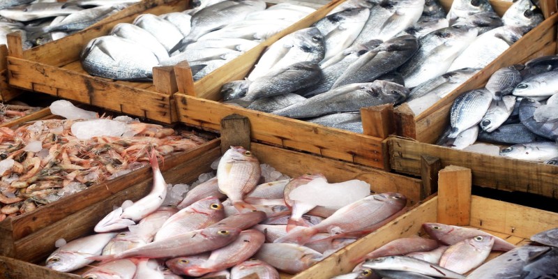 Pakistan Secures Four-Year Approval to Export Fish to the United States