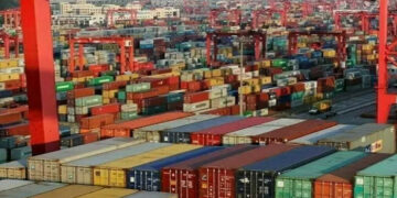 Customs Audit Reveals Major Tax Evasion and Serious Irregularities