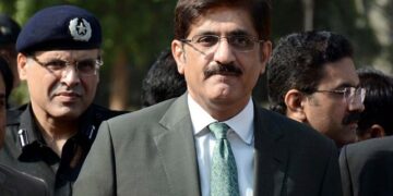 After Karachi Rains, “Seasonal Frogs” Spreading False Rumors, Says Sindh CM Murad Ali Shah