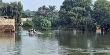 India Opens Spillways of Baglihar and Salal Dams, Warns Pakistan of Flood Risk in Sutlej and Chenab