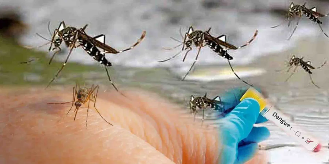 Met Office Issues Dengue Alert, Advises Public to Take Precautions