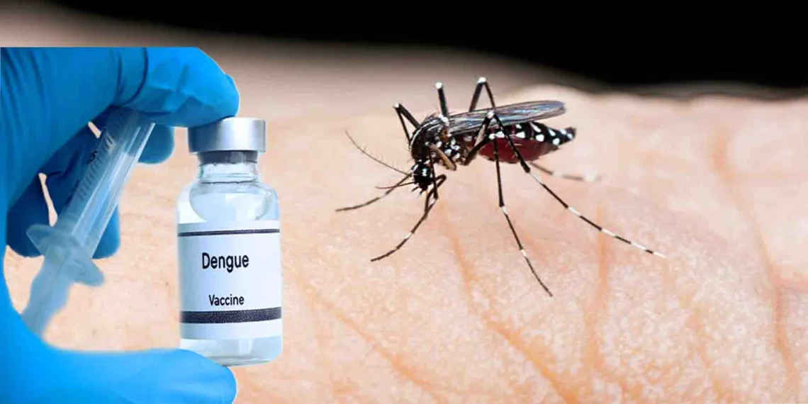 Dengue Cases Continue to Rise in Khyber Pakhtunkhwa as Tally Reaches 4,836