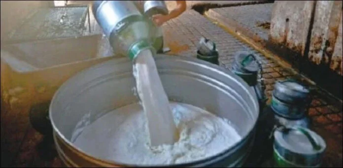 All Milk Samples Declared Substandard in Sindh, High Court Informed Through Inspection Report