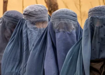 Rights Violations Rise in Afghanistan, Report Highlights Abuse Against Women and Minorities — PakAlerts.net: Sansani Nahi, Srif Khabar — Your go-to digital hub for Breaking News, Analysis, Stories from Pakistan and around the World. Stay informed, Stay connected. Rights Violations Rise in Afghanistan, Report Highlights Abuse Against Women and Minorities