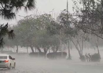 Rain Expected in Karachi from April 1, Forecast of Strong Winds and Heavy Showers — PakAlerts.net: Sansani Nahi, Srif Khabar — Your go-to digital hub for Breaking News, Analysis, Stories from Pakistan and around the World. Stay informed, Stay connected. Rain Expected in Karachi from April 1, Forecast of Strong Winds and Heavy Showers