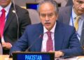 Pakistan Supports Bahrain and Russia Draft Resolutions at United Nations