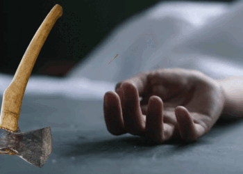 Man Allegedly Kills Wife and Five Children with Axe in Sargodha