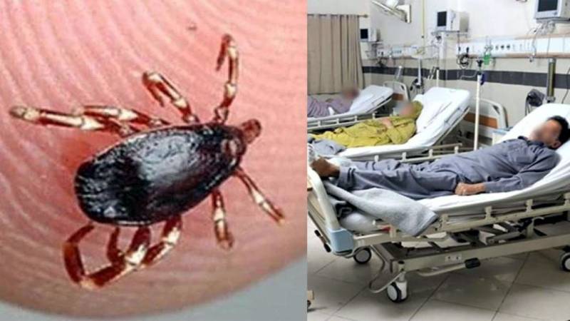 17-Year-Old Dies of Congo Virus in Karachi