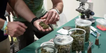 Sri Lanka Airport Operation: 22 Buddhist Monks Arrested for Attempted Cannabis Smuggling