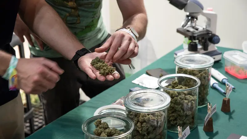 Sri Lanka Airport Operation: 22 Buddhist Monks Arrested for Attempted Cannabis Smuggling