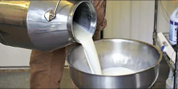 Milk Price Increased by Rs20 per Liter in Karachi, New Rate Set at Rs240