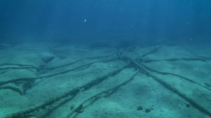 Internet Disruptions Likely Until April 20 Due to Submarine Cable Repair