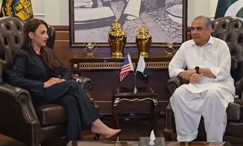 In meeting with US envoy, Mohsin Naqvi discusses diplomatic efforts for second round of talks