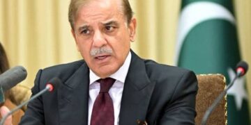 Timely Government Measures Prevent Energy Crisis Amid Current Regional Situation,  PM Shehbaz Sharif