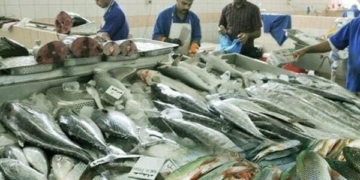Pakistan sets new record with $570 million seafood exports — PakAlerts.net: Sansani Nahi, Srif Khabar — Your go-to digital hub for Breaking News, Analysis, Stories from Pakistan and around the World. Stay informed, Stay connected. Pakistan sets new record with $570 million seafood exports