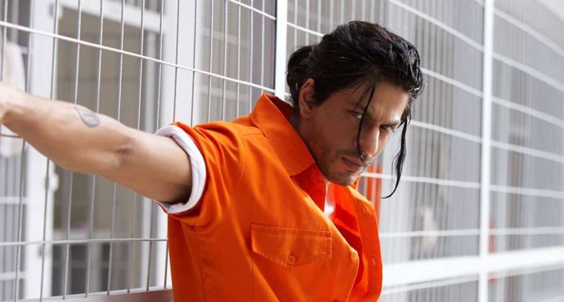 شاہ رخ خان ایک بار پھر ڈان بنیں گے