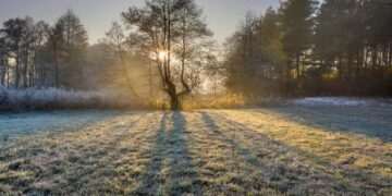 ملک کے بیشتر علاقوں میں  موسم سرد اور خشک رہنے کا امکان