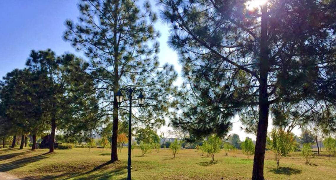 ملک بھر میں سردی کی شدت میں کمی