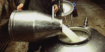 ڈیری فارمرز کا دودھ کی قیمت میں 25 روپے فی لیٹراضافے کا اعلان